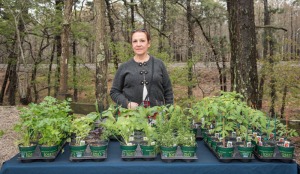 Plant Sale with Anita Cheikin Heiser