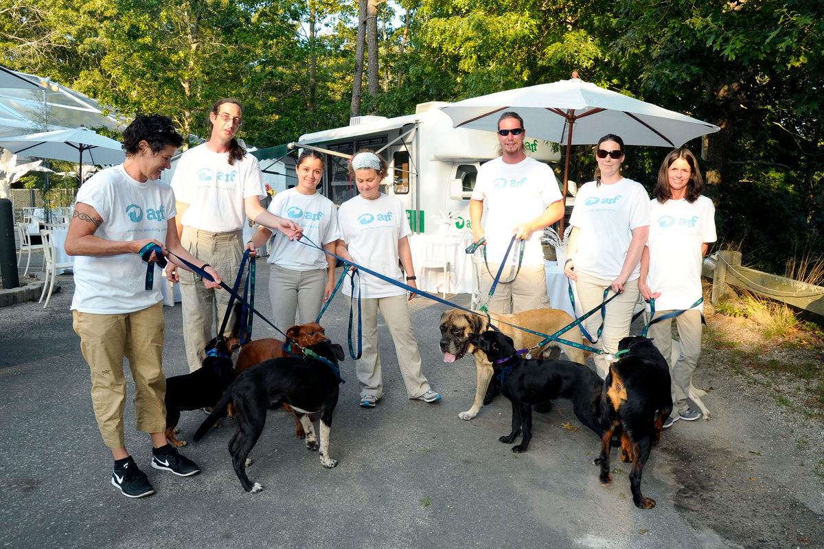 Atmosphere==Animal Rescue Fund of the Hamptons Bow Wow Meow Ball== Animal Rescue Fund Of The Hamptons, Wainscott==August 20, 2016==Â©Patrick McMullan==Photo: PatrickMcMullan/PMC====