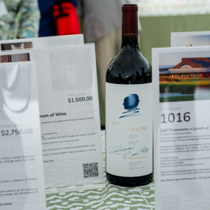 Silent auction. Photo by Mark Kopko Photography.