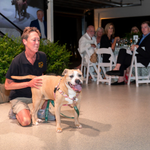 ARF\'s Debbie Downs with Smushie. Photo by Mark Kopko Photography.