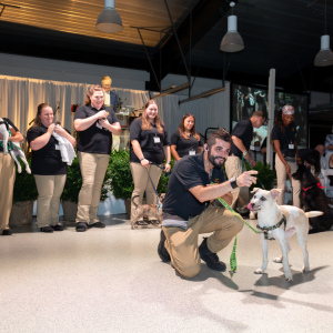 ARF\'s Tony D\'Alessio with Hal and ARF staff. Photo by Mark Kopko Photography.