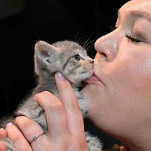 Little Puddles get a kiss after stealing the show during ARF\'s Parade of Animals. Photo by Andrew Werner.