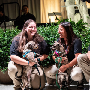 ARF\'s Miranda Ules and Melanie Marin with Barney and Thelma Lou. Photo by Kristin L. Gray Photography.