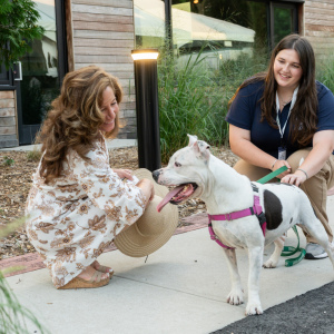 Miss Pickles with ARF's Jane O'Dwyer greet a guest. Photo by Mark Kopko Photography.