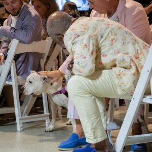 Miss Pickles makes her way to the stage during the Parade of Animals. Photo by Mark Kopko Photography.