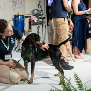 ARF's Bridget Stonemetz with Annie. Photo by Mark Kopko Photography.