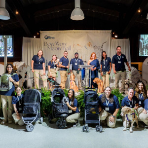 ARF staff and animals on stage after the Parade of Animals. Photo by Mark Kopko Photography