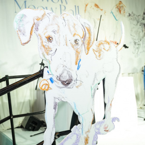 ARF Hamptons Bow Wow Meow Ball