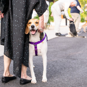 Even Daisy was smiling! Photo by Mark Kopko Photography.