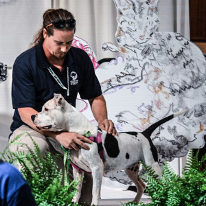 ARF's Mike Hinz with Miss Pickles. Photo by Kristin L. Gray.