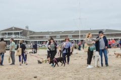 Main Beach, East Hampton