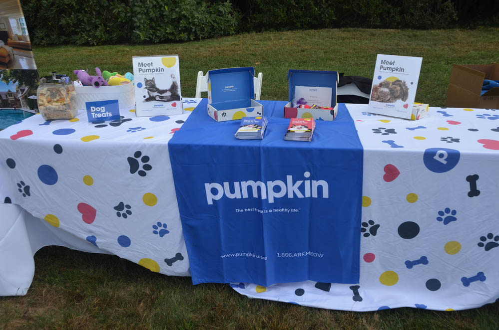 Pumpkin Pet Insurance - Sponsor