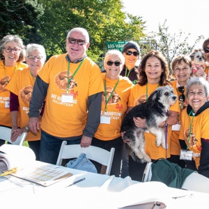 ARF Volunteers. We couldn't do it without them.