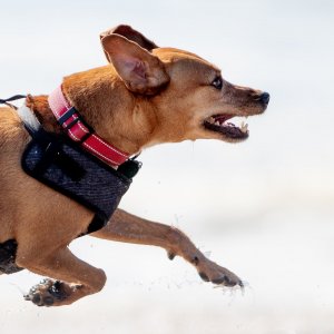 Fun times at the beach. Photo by Craign Macnaughton.