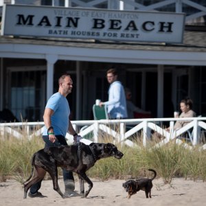 Main Beach, East Hampton. Photo by Craig Macnaughton.