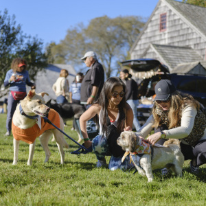 Hanging with friends at the farm. Photo by Zack Pintchik.