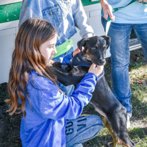 Falling in love at the Adoption Van. Photo by Kristin L. Gray Photography.