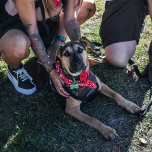 People and their pups! Photo by Kristin L. Gray Photography.