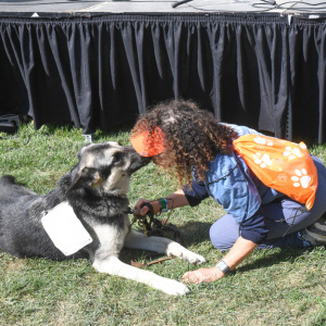 Doggie kisses are the best! Pooch Who Can Smooch contest. Photo by Kristin L. Gray Photography.