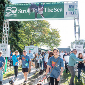 And they are off! Photo by Lisa Tamburini.