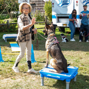 Running the agility course. Photo by Lisa Tamburini.