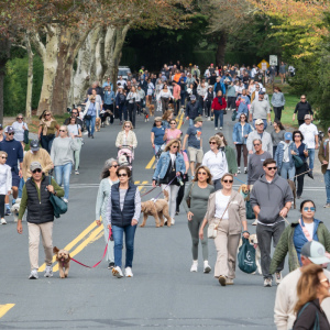 The crowd approaches Main Beach. Photo by Mark Kopko Photography.