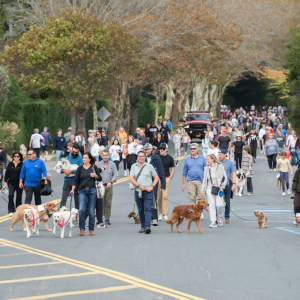 Here they come - part II.  Photo by Mark Kopko Photography.
