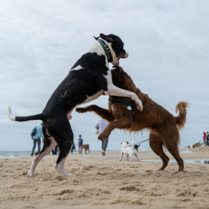 Pure joy! Photo by Mark Kopko Photography.