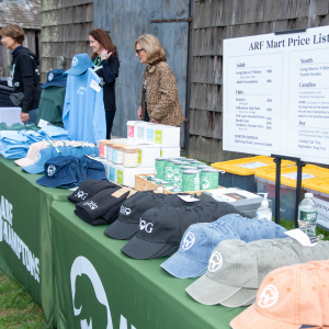ARFmart - get your ARF merch! Photo by Lisa Tamburini.