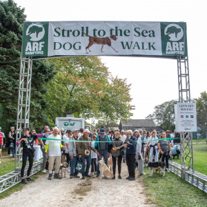 Ready for the walk. Photo by Lisa Tamburini. 