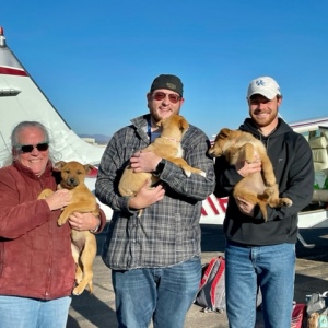 Espanola Humane foster mom Anne Baker with volunteer pilots Jan Brentjens and Matthew Pellegrino with some of the puppies.
