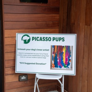 Picasso Pups was so much fun!
