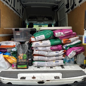Look at all these donations! Thank you to everyone who brought food for our pet food pantry. Photo by ARF.
