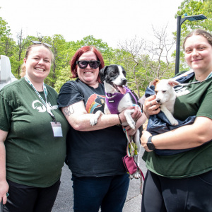 ARF's Jessica Quaresimo, Meredith Hulse with former ARFan Rita and ARF's Miranda Ules with Julia who was adopted at the event! Photo by Lisa Tamburini.