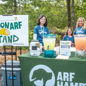 ARF volunteers Emily Prager, Gwen Bokine and Willa man the lemonARF table. Photo by Lisa Tamburini.