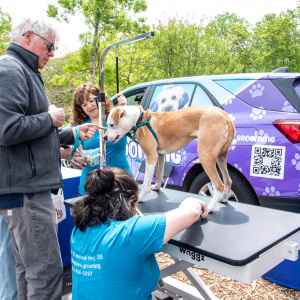 Blue's Paws Grooming was part of the event offering free nail clippings! Photo by Lisa Tamburini.