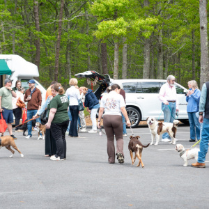 Guests and their dogs enjoy the day! Photo by Lisa Tamburini.