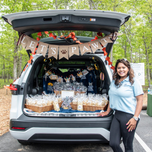 Popcorn bags by Lexus of Southampton. Photo by Lisa Tamburini.