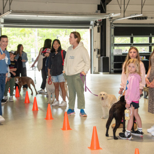 Agility fun in the William P. Rayner Training Center. Photo by Lisa Tamburini. 