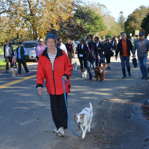 Polly with Daisy at the Stroll to the Sea Dog Walk in 2015.  Photo by Barry Gordin.