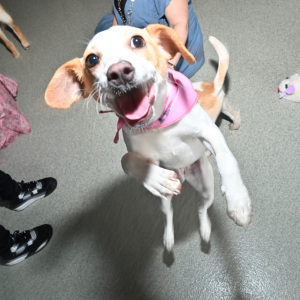 Say cheese!
