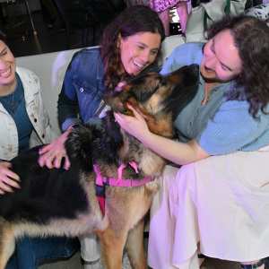 Guest can't get enough of Ripley.
