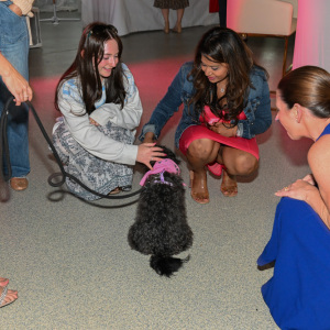 Static getting some attention from guests.
