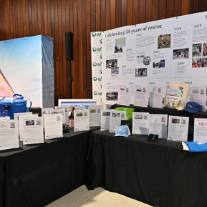 Silent Auction