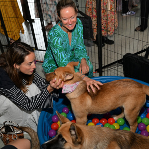 Lots of puppy love at the party!