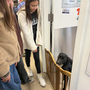 Meeting the puppy in the medical wing.
