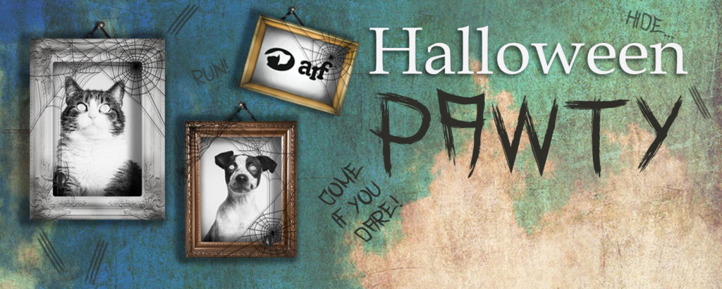 Animal Rescue Fund of the Hamptons