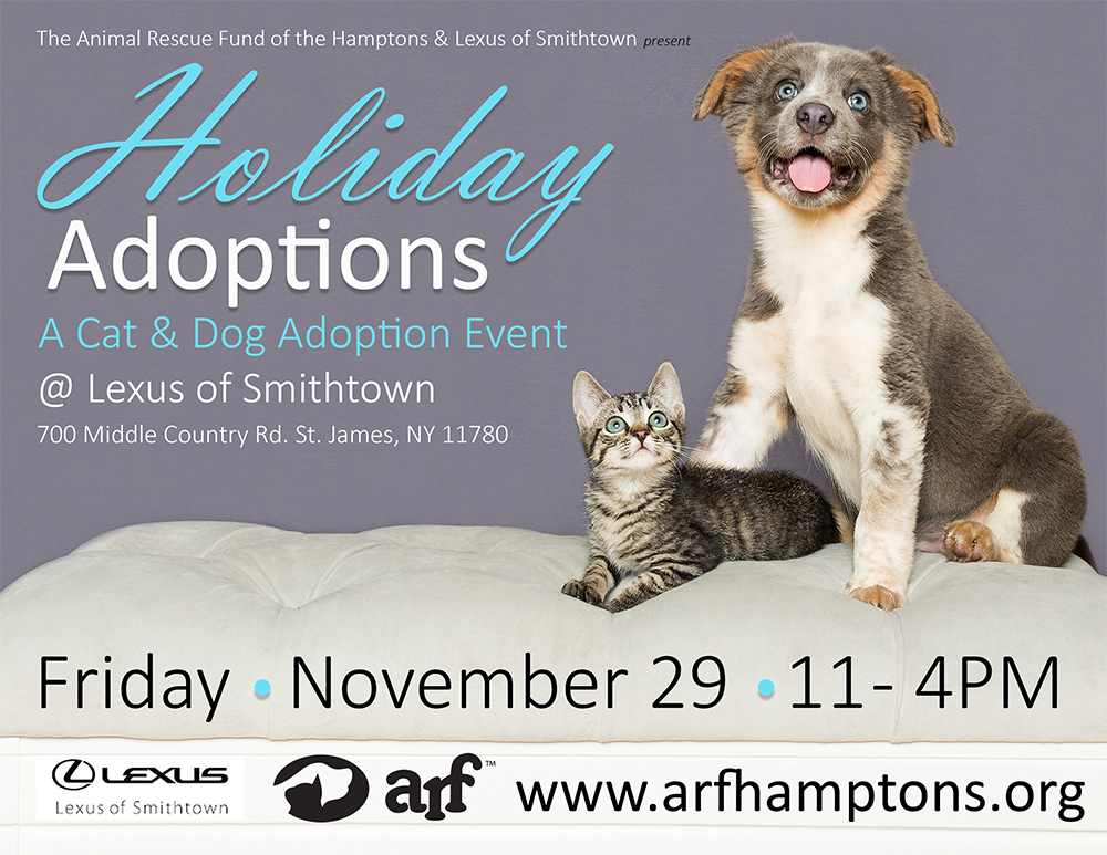 Adoption events near me 2024 2019