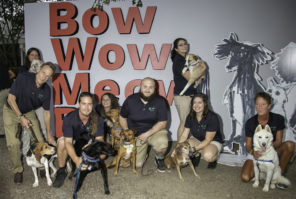 Events | Animal Rescue Fund of the Hamptons