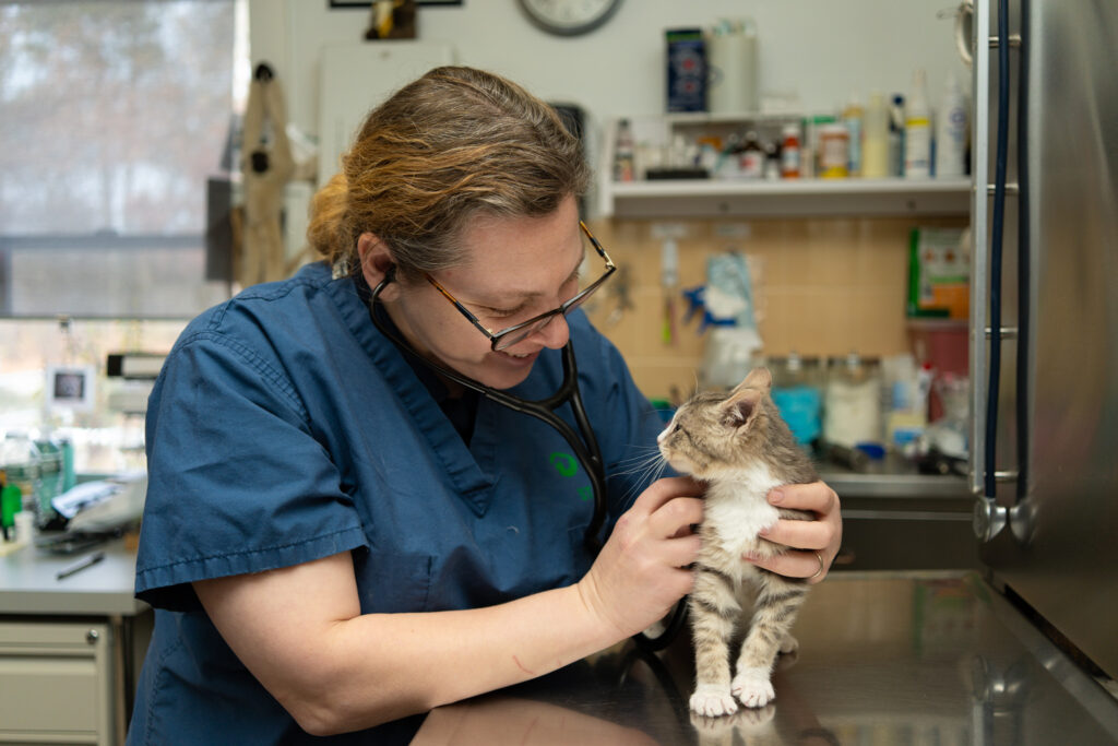 and Clinics | Animal Rescue Fund of the Hamptons
